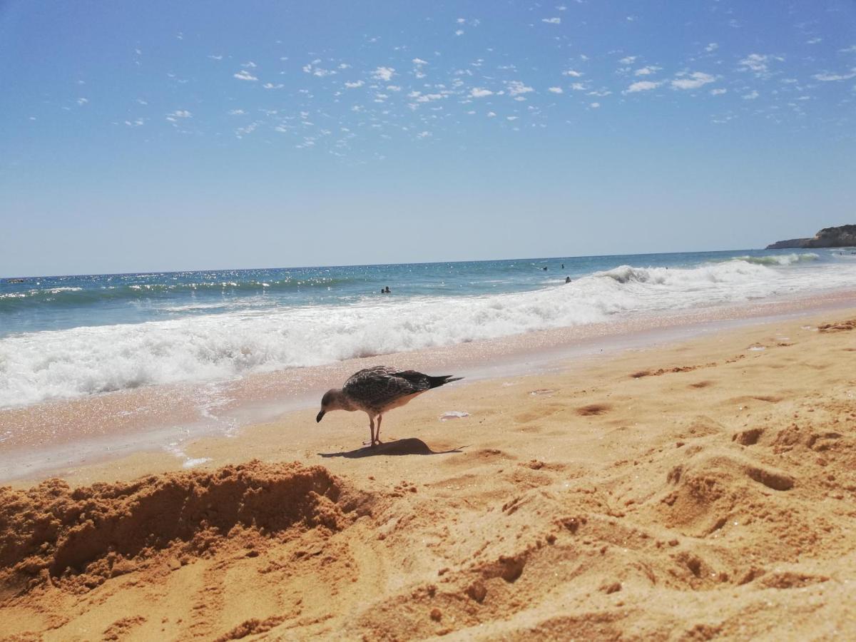 Apartamento Do Algarve Armação de Pêra Екстериор снимка